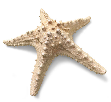 Jewelry product image